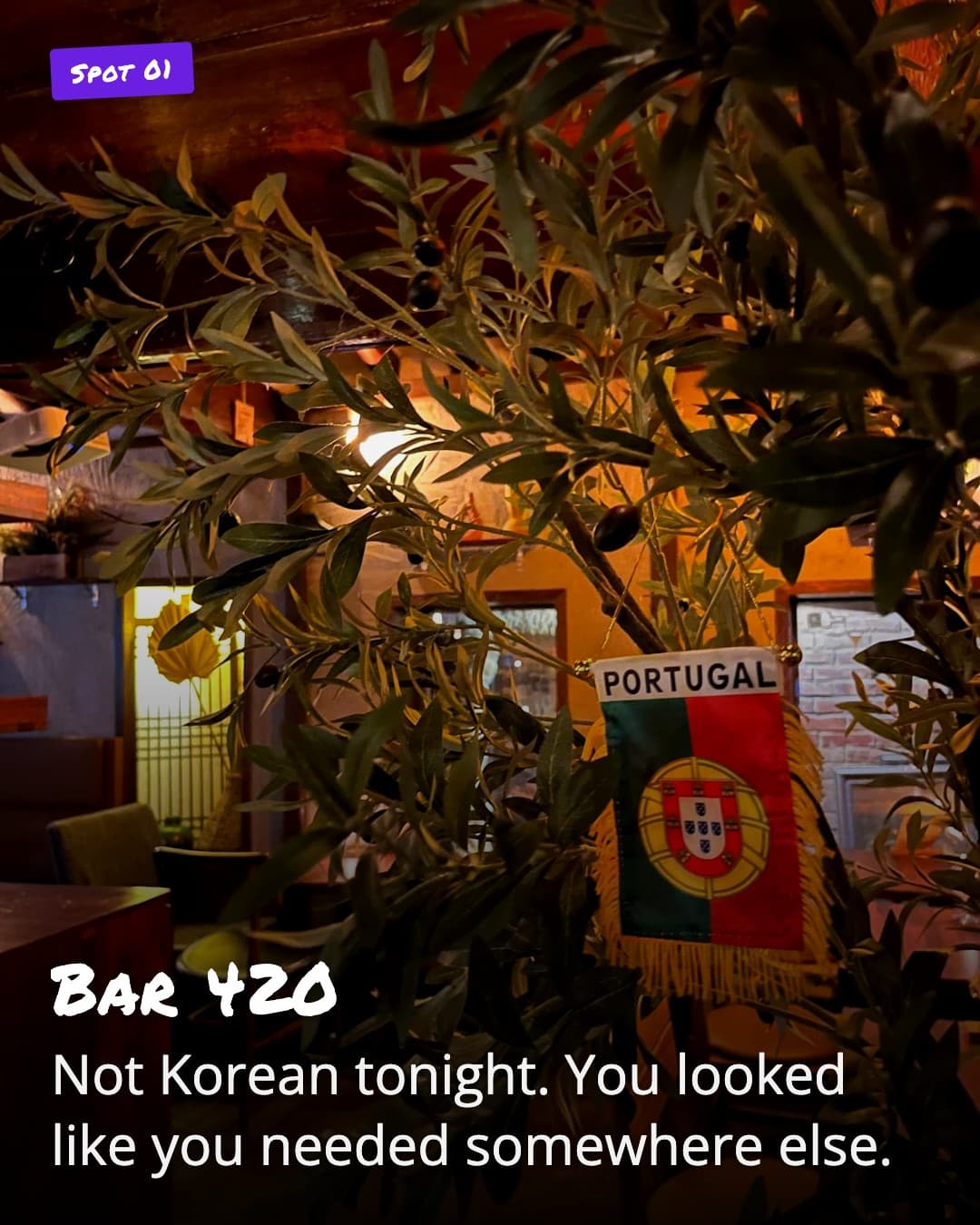 Bar 420 Portuguese wine bar corner