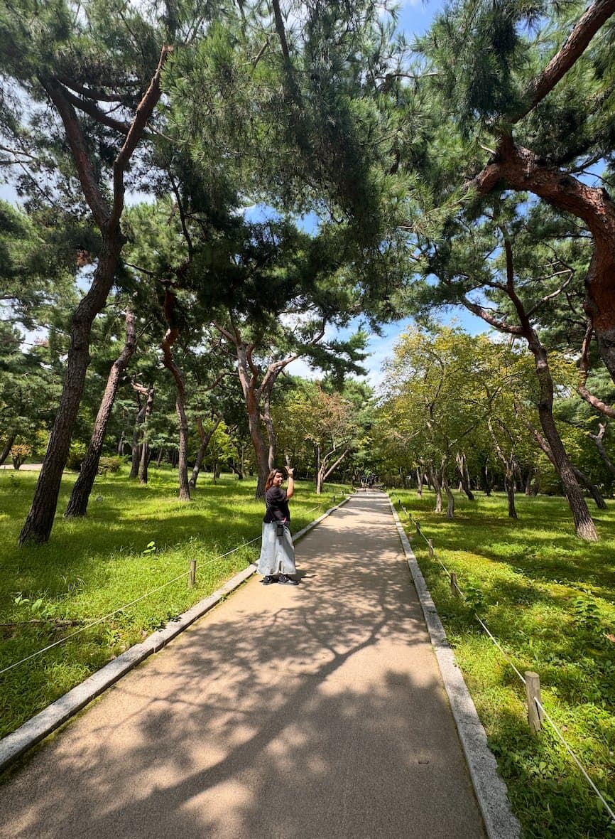 木陰の散歩道