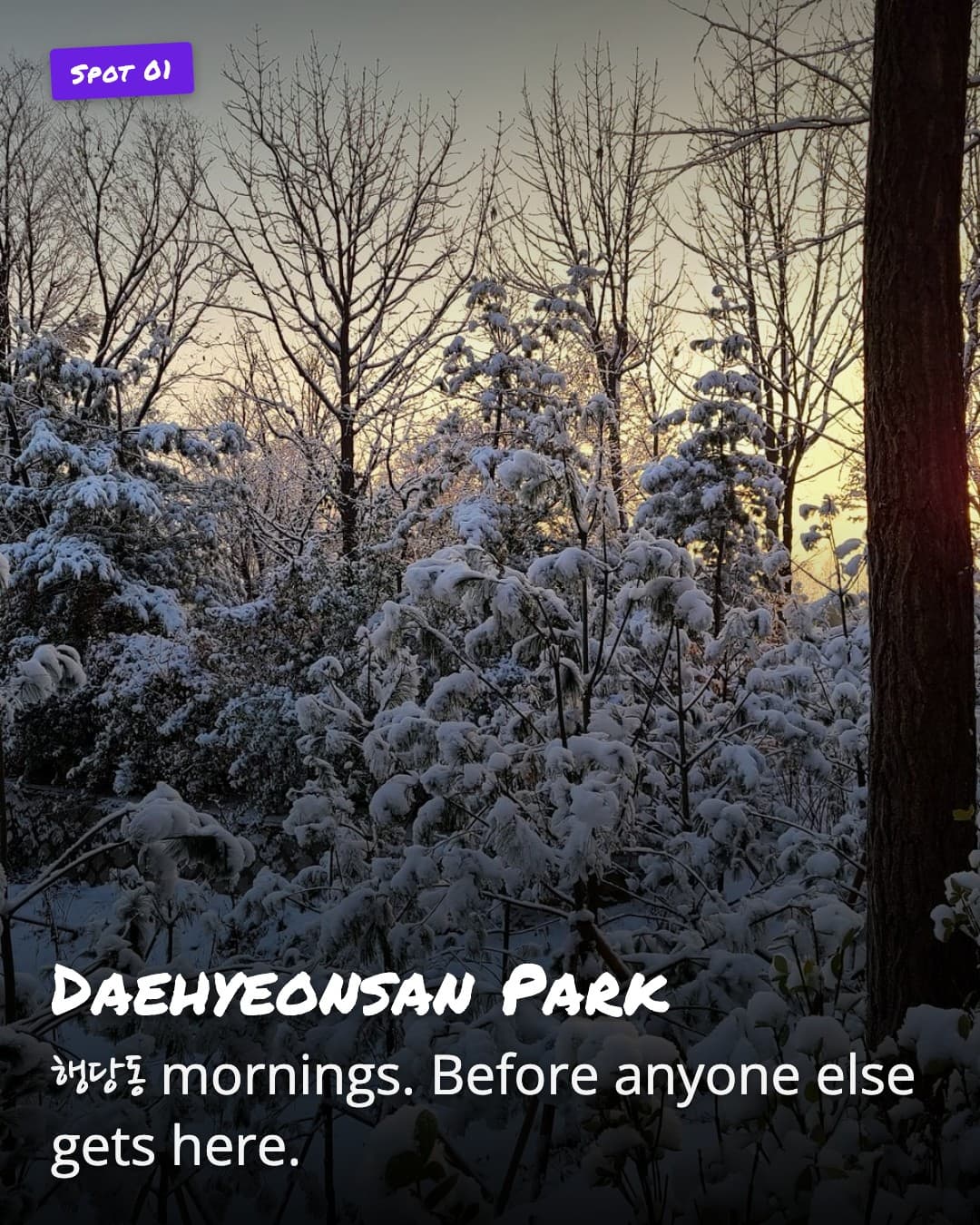 Daehyeonsan Park morning