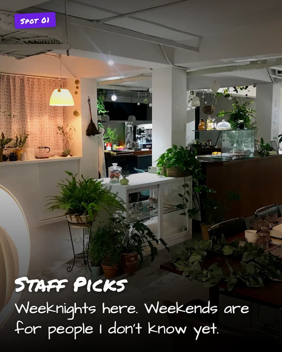 Staff Picks cafe interior with glowing floor lamp