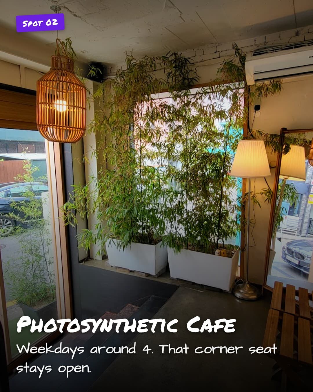 Photosynthetic Cafe corner seat