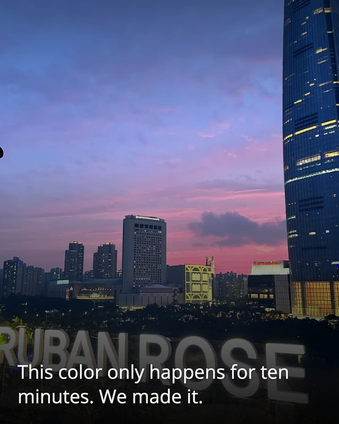 Ruban Rose sign glowing against Seoul skyline
