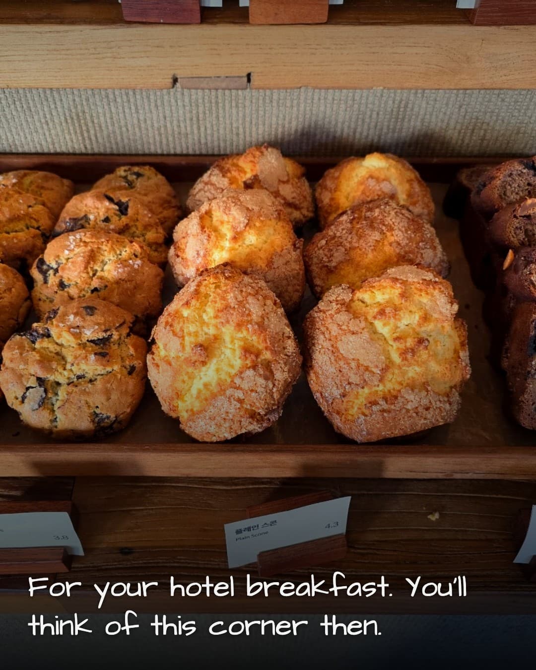 Montauk bakery display case