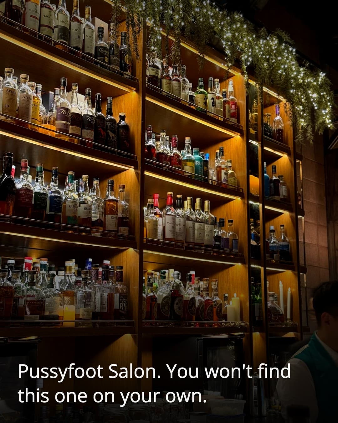 PUSSYFOOT SALON whisky wall