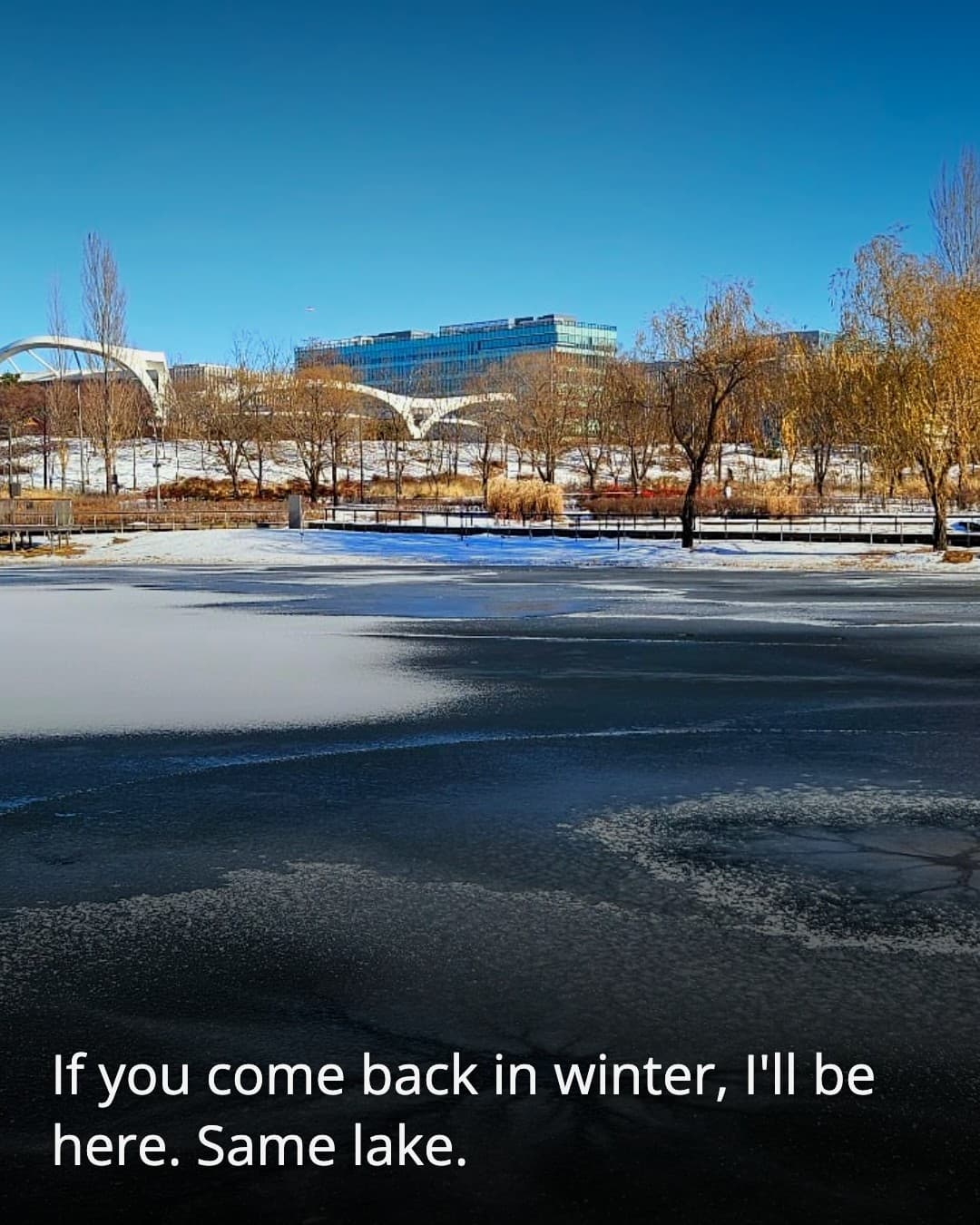 Lake Garden frozen winter lake