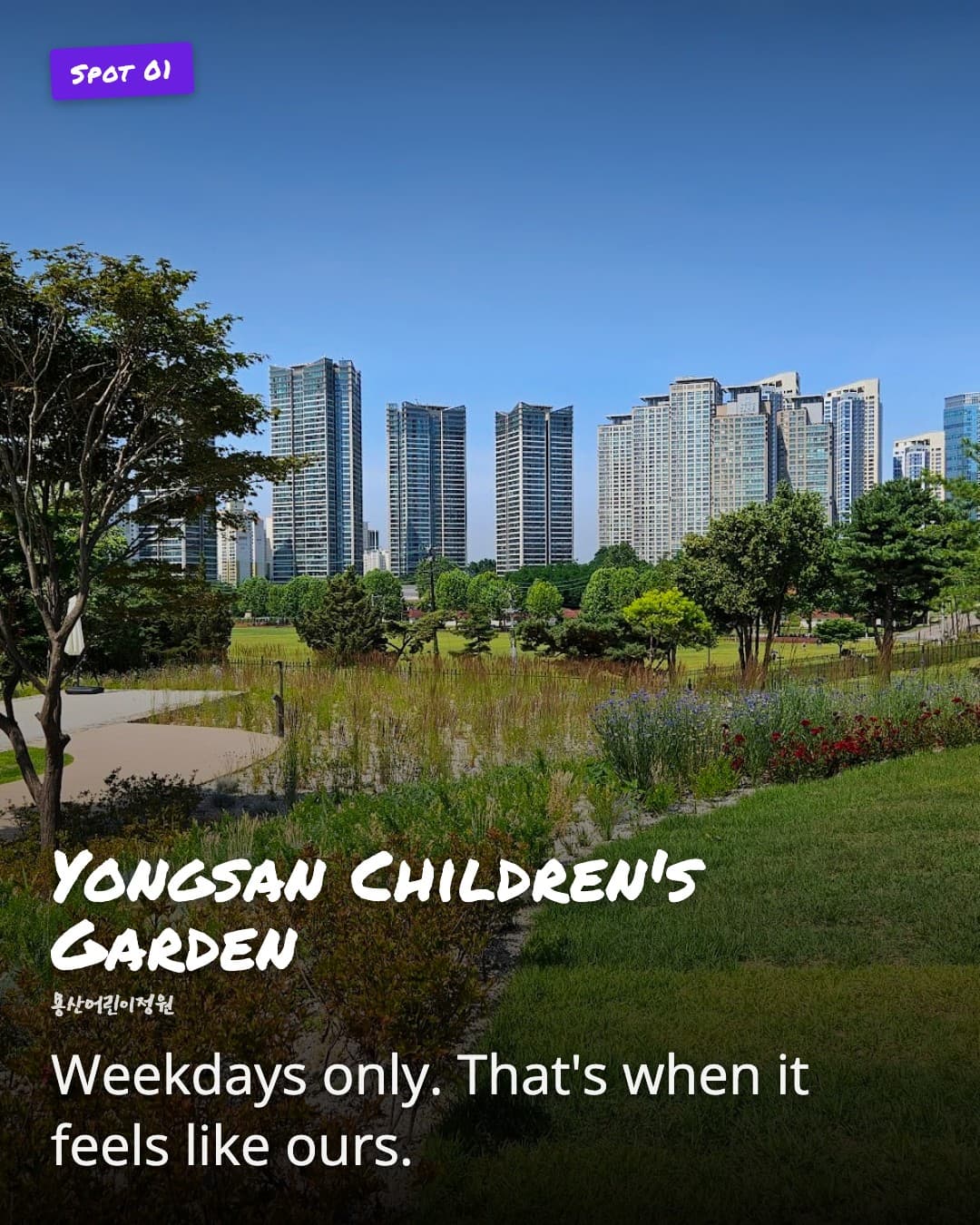 Yongsan Children's Garden pathway
