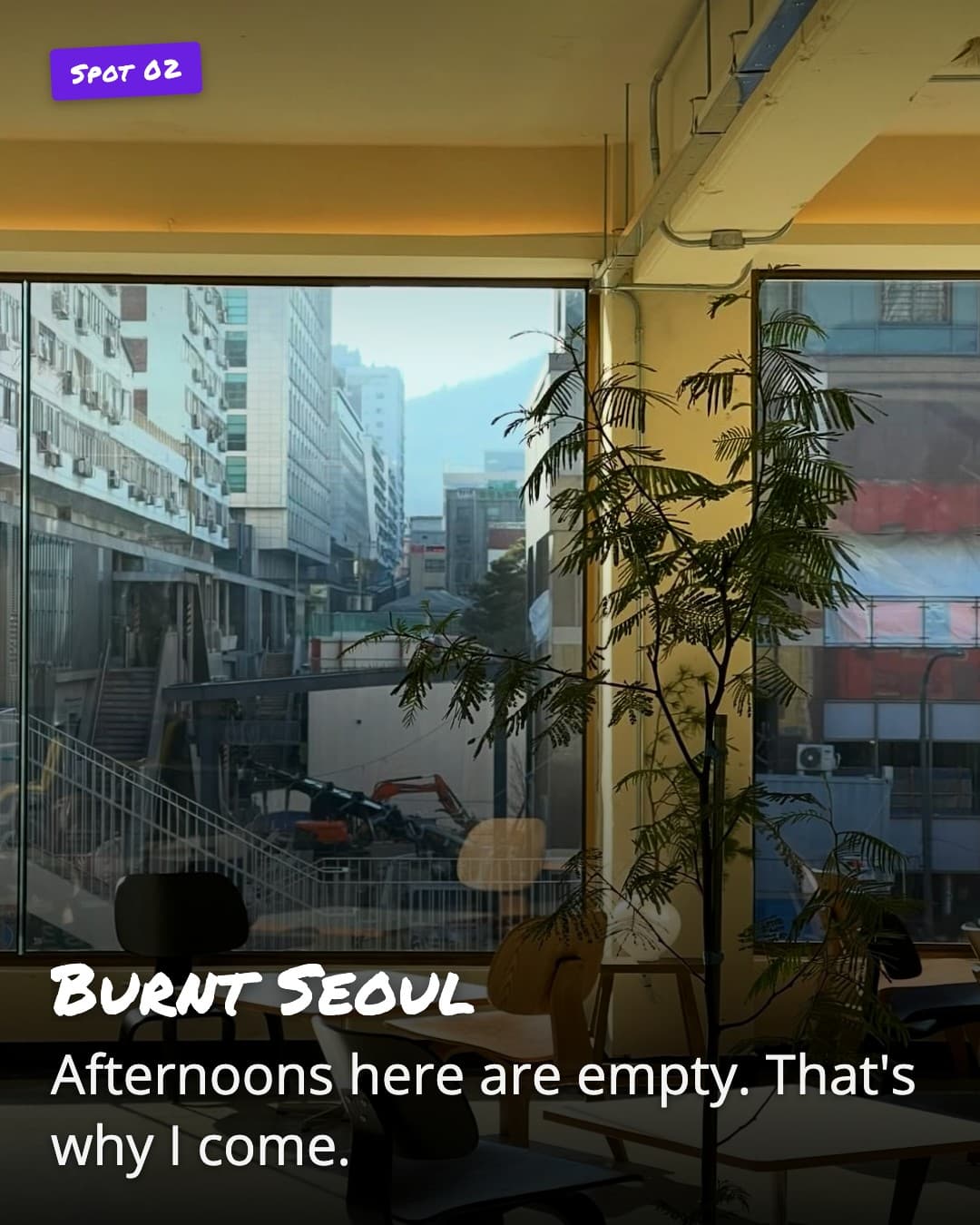 Burnt Seoul window seat