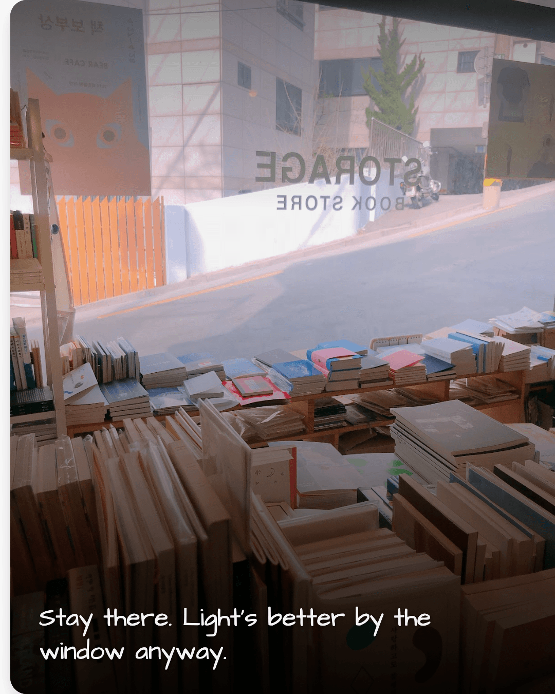 Storage Book & Film, window reading nook